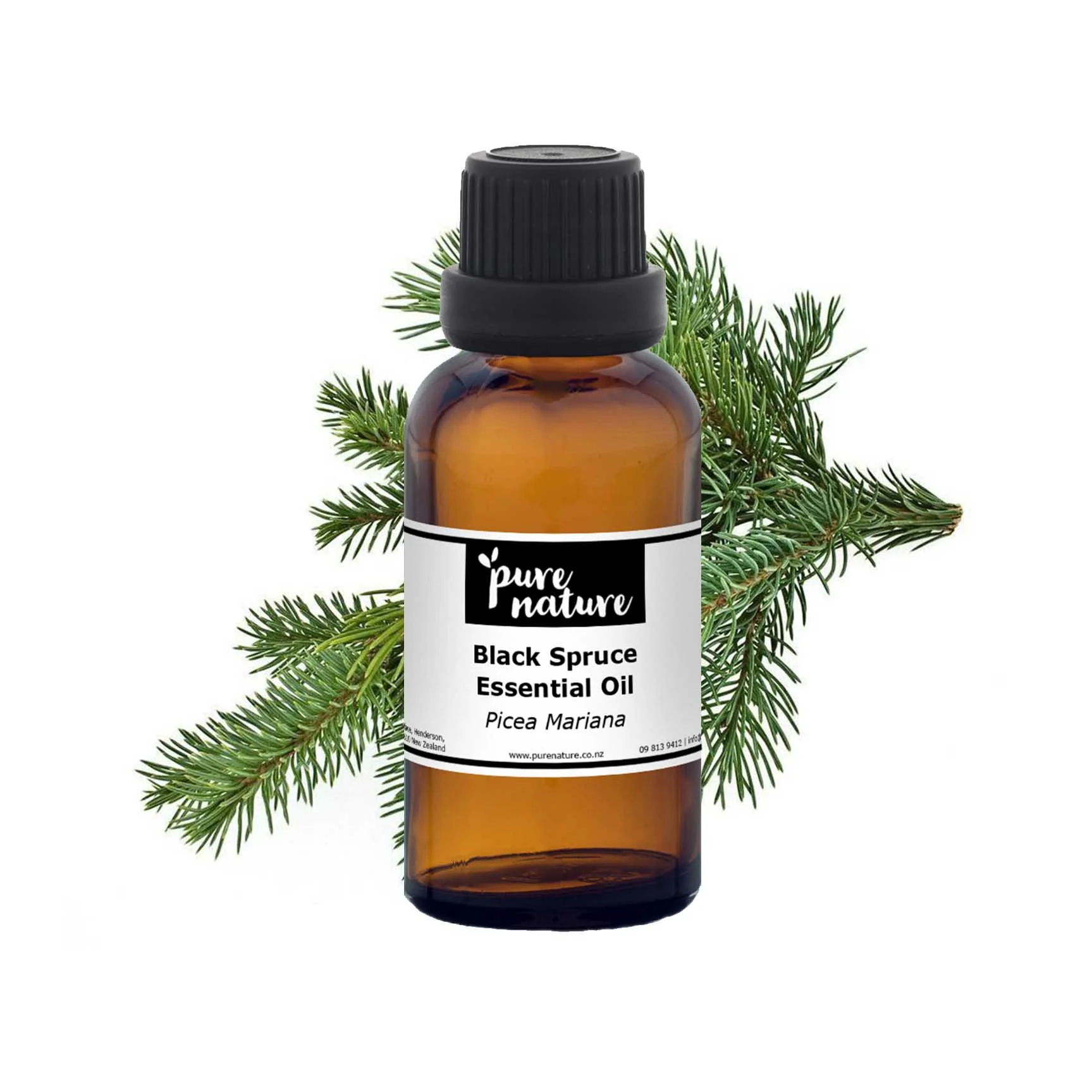 Black Spruce Essential Oil - Image 2