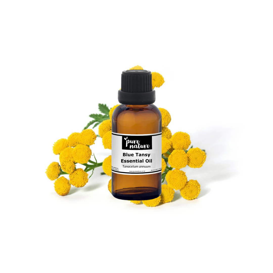 Blue Tansy Essential Oil - Image 2