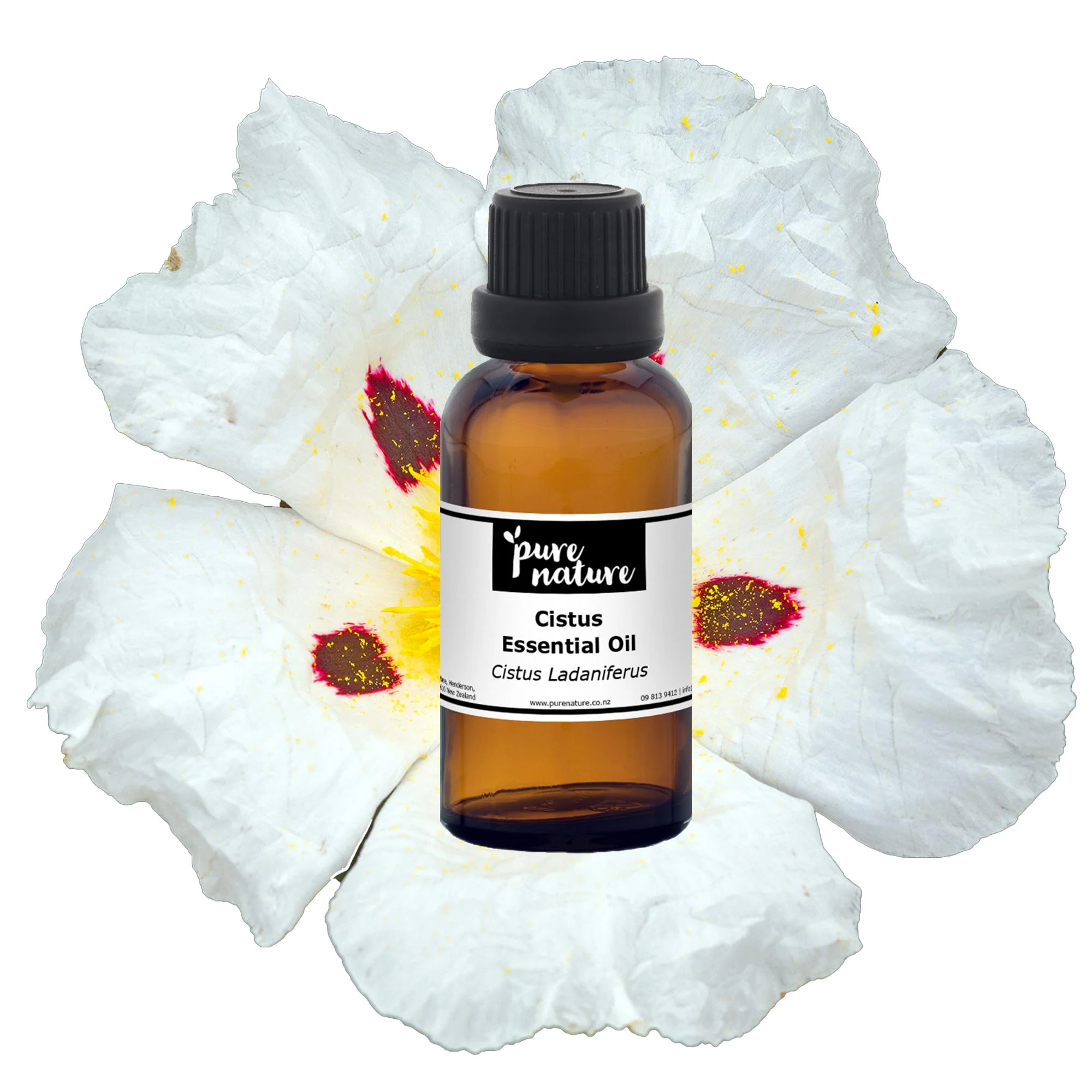 Cistus Essential Oil - Image 2