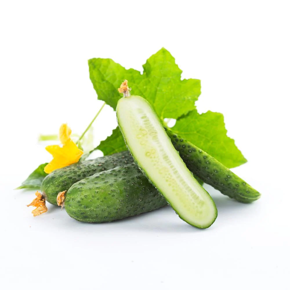 Cucumber Cellular Extract
