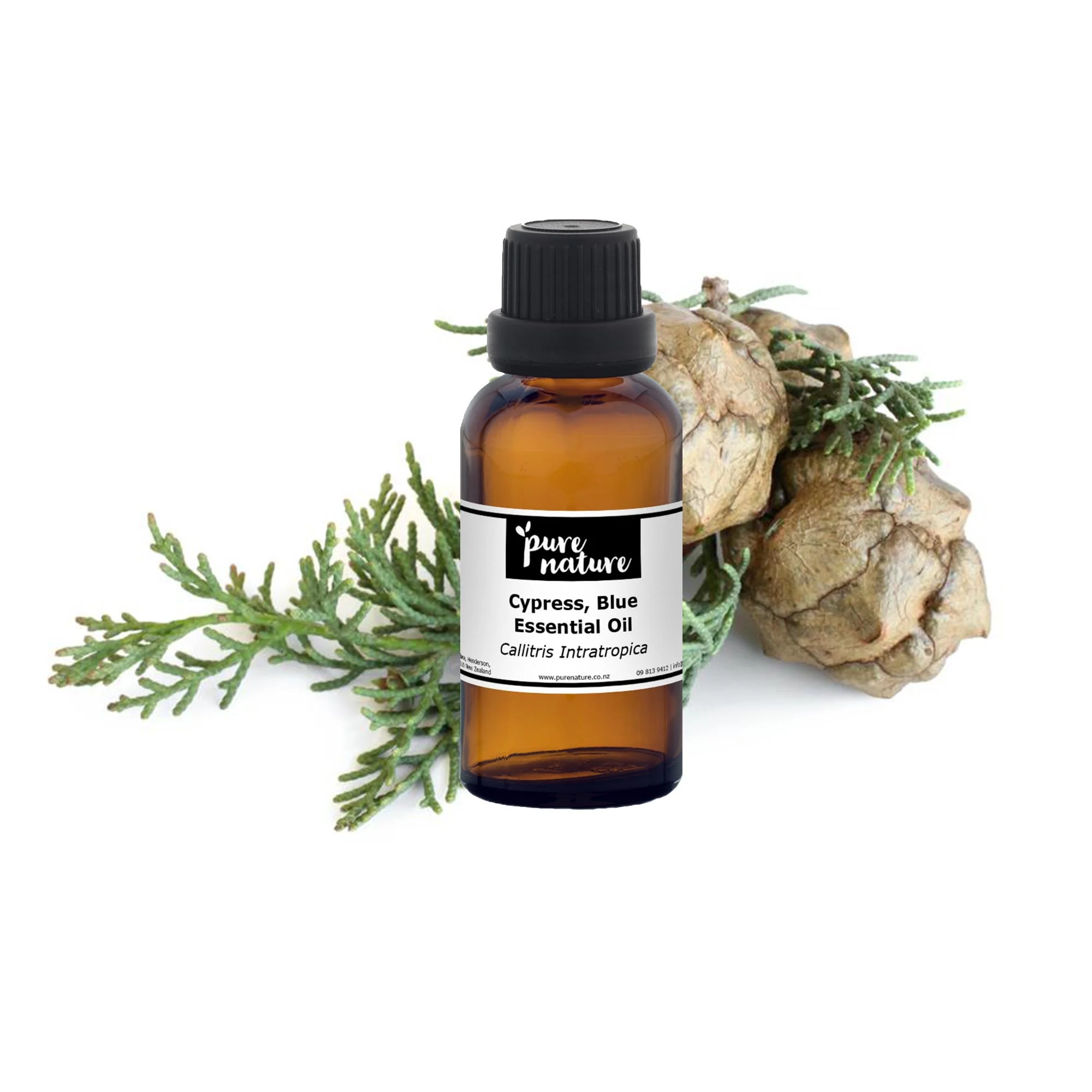 Cypress, Blue Essential Oil - Image 2