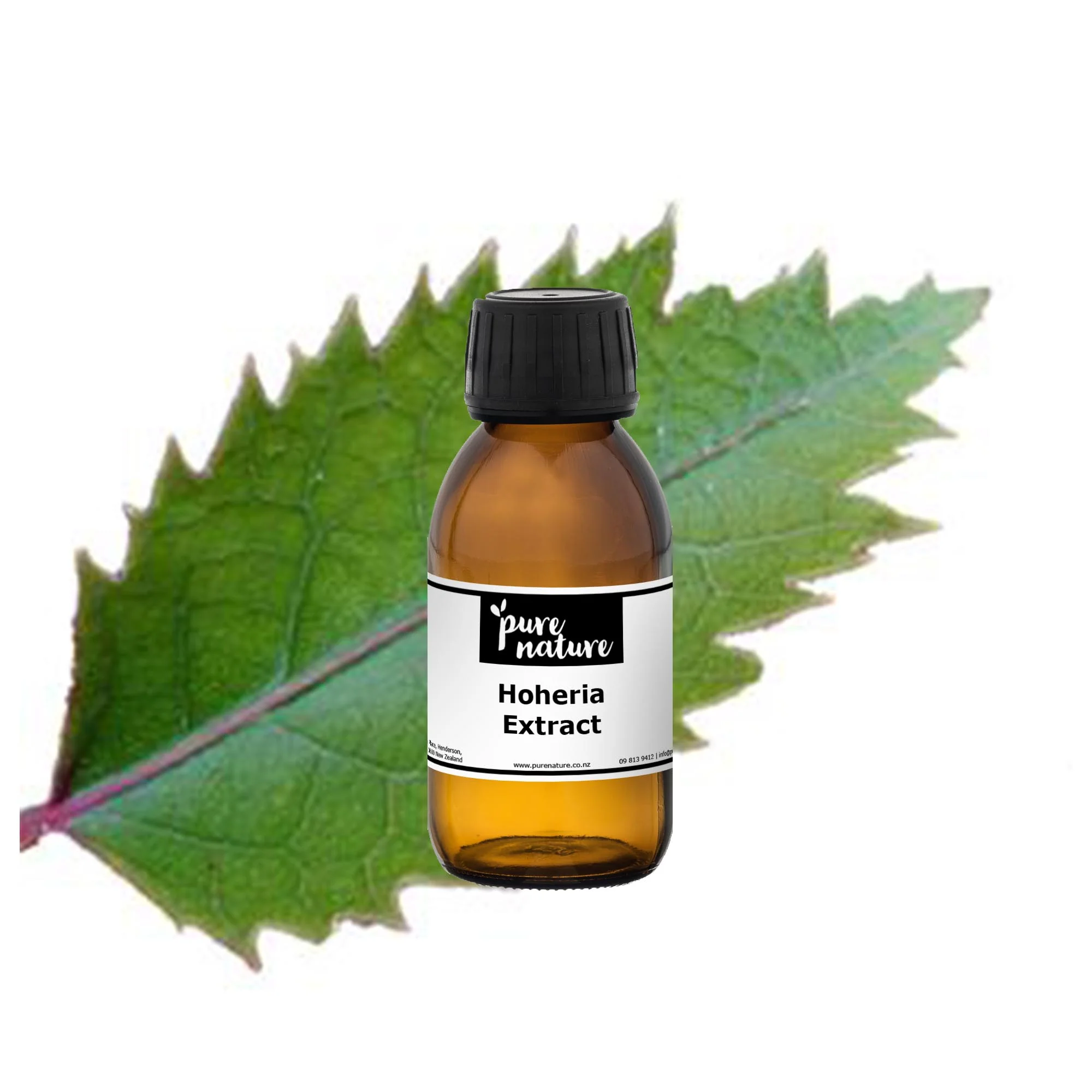PlantæDerMX® Hoheria Leaf Extract - Image 2