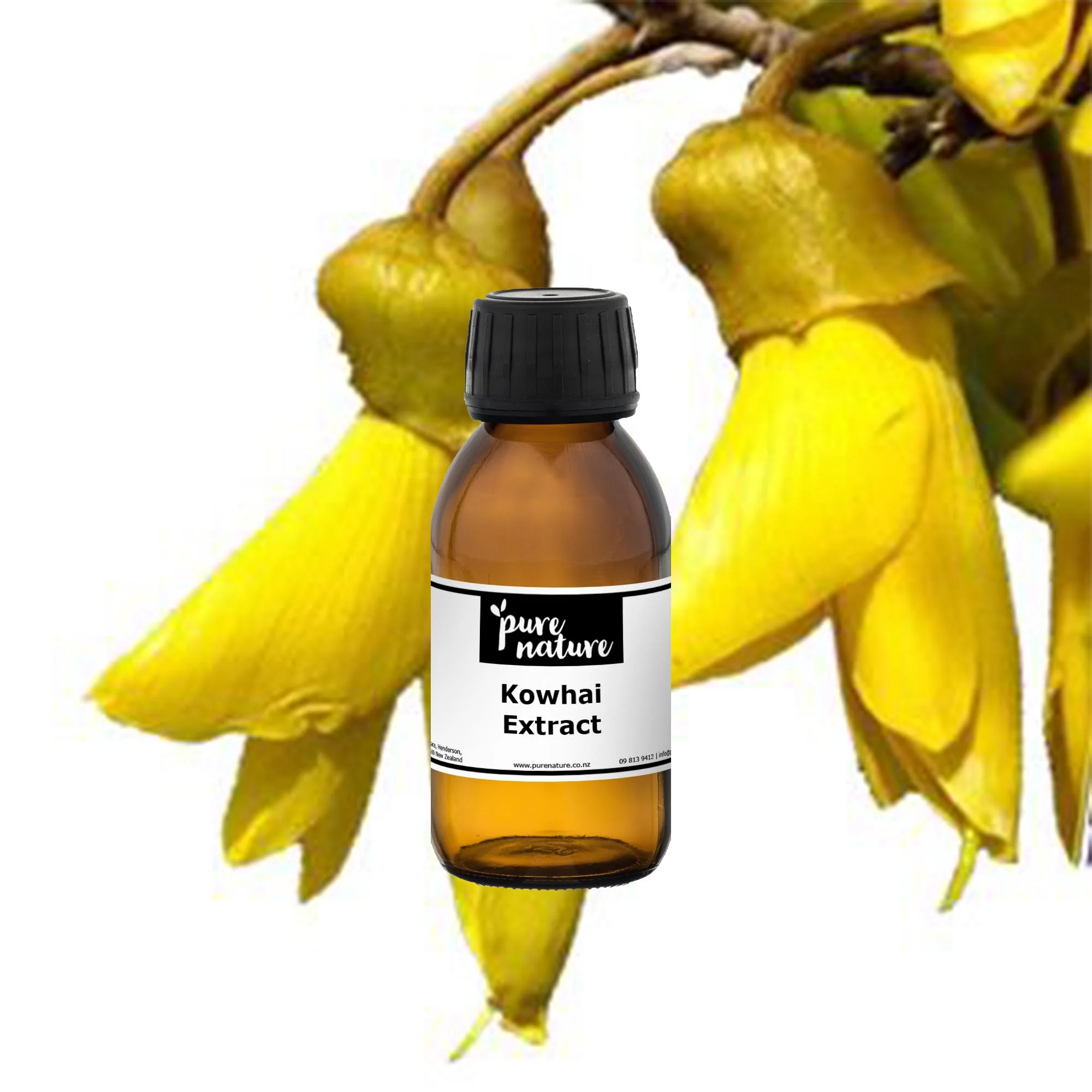 PlantæDerMX® Kowhai Bark Extract - Image 2