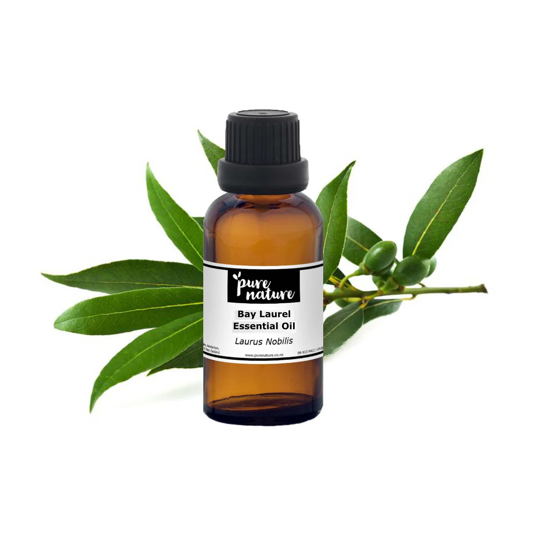 Bay Laurel Essential Oil - Image 2