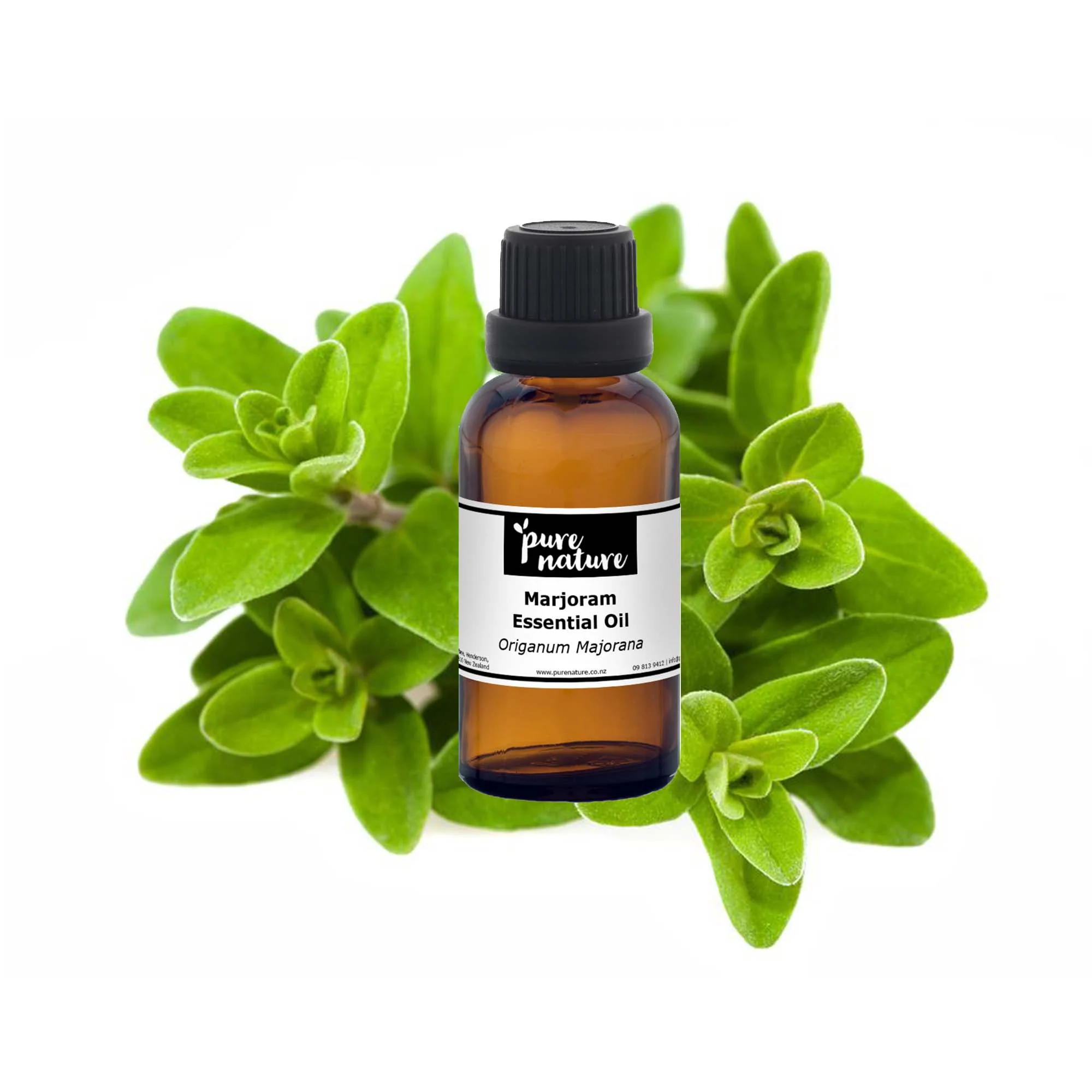 Marjoram Essential Oil - Image 2