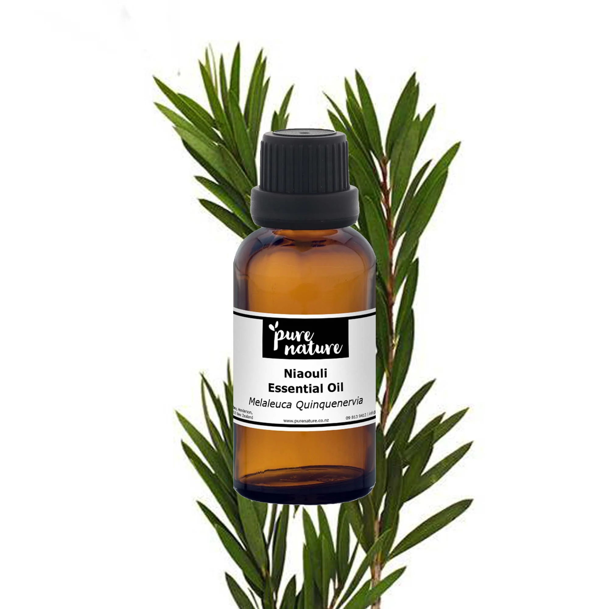Niaouli Essential Oil - Image 2