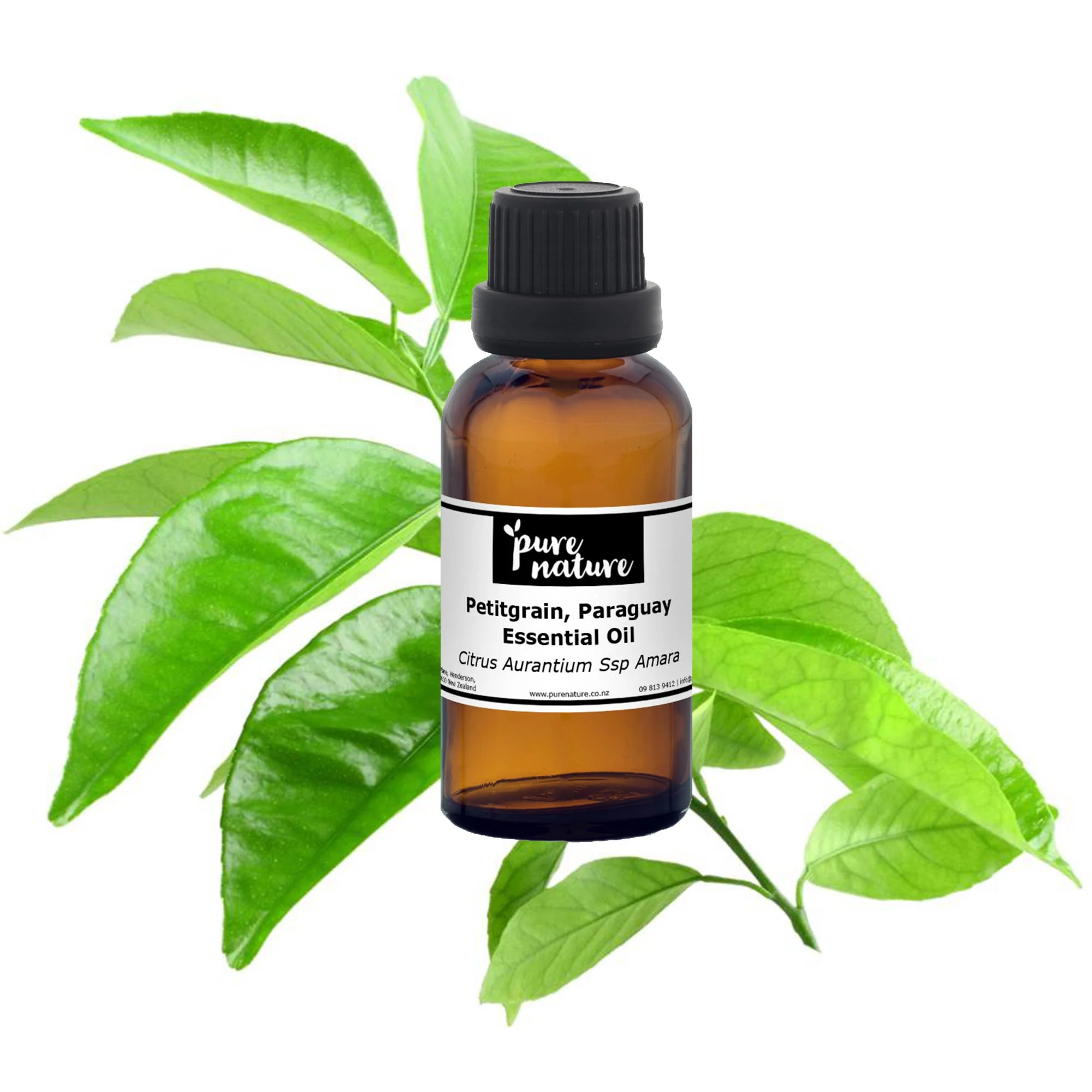 Petitgrain, Paraguay Essential Oil - Image 2