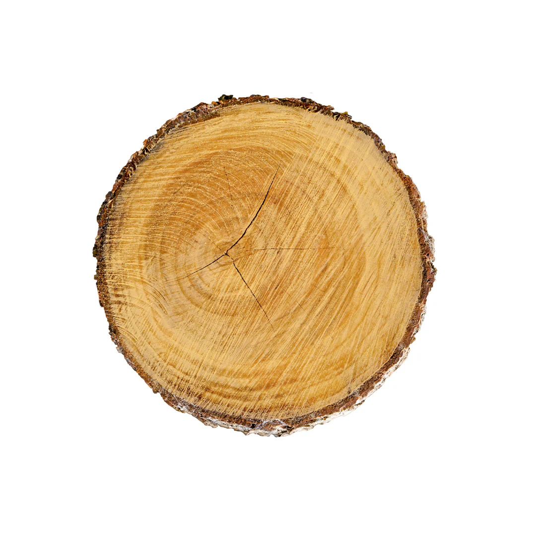 Pine Essential Oil