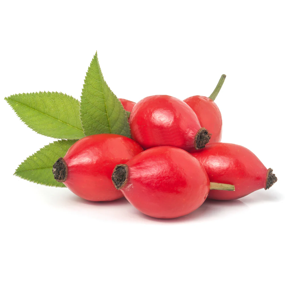 Rosehip Oil, Refined