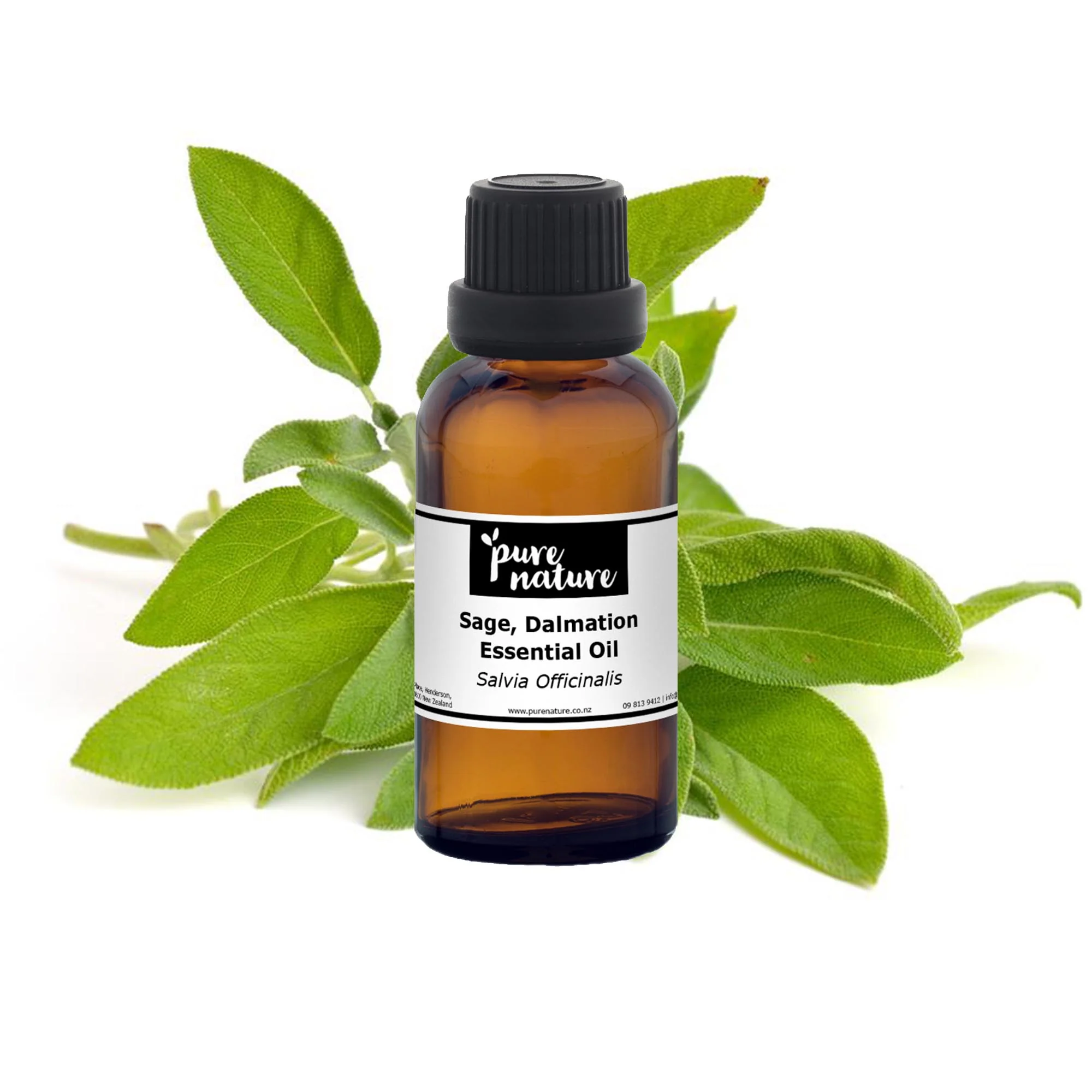 Sage, Dalmatian Essential Oil - Image 2