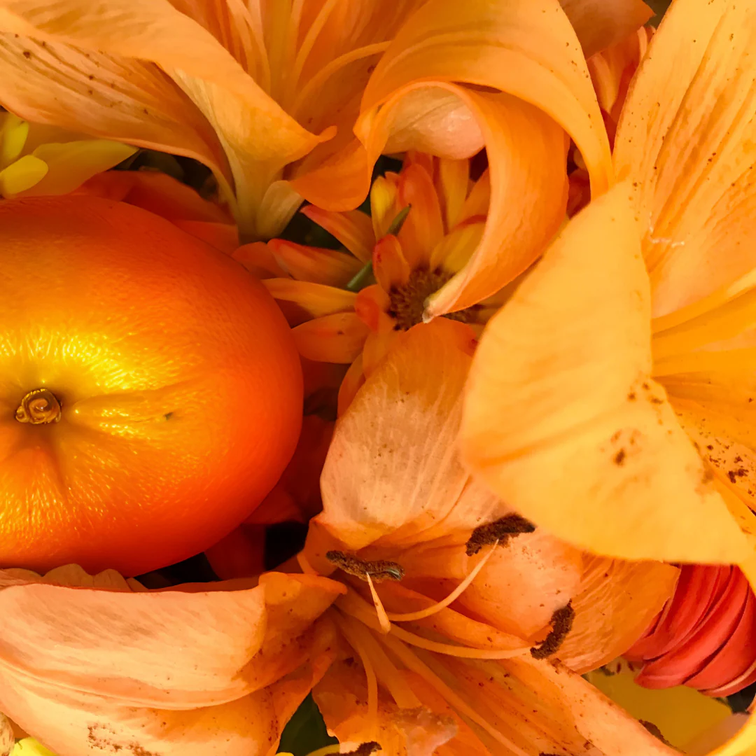 Solar Petals and Tangerine Fragrance