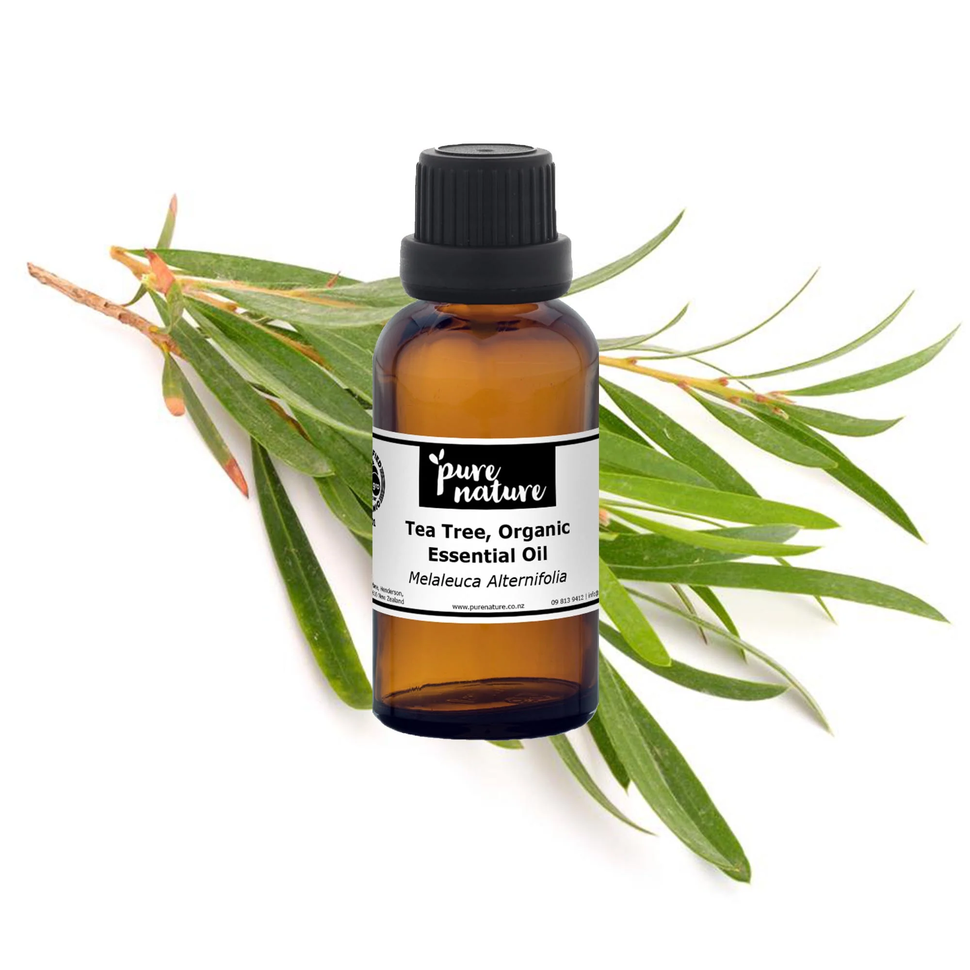 Tea Tree, Organic Essential Oil - Image 2